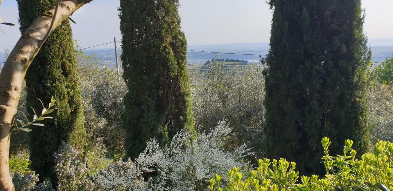 "Cortela" Appartameni In Villetta Singola SantʼAmbrogio di Valpolicella Εξωτερικό φωτογραφία
