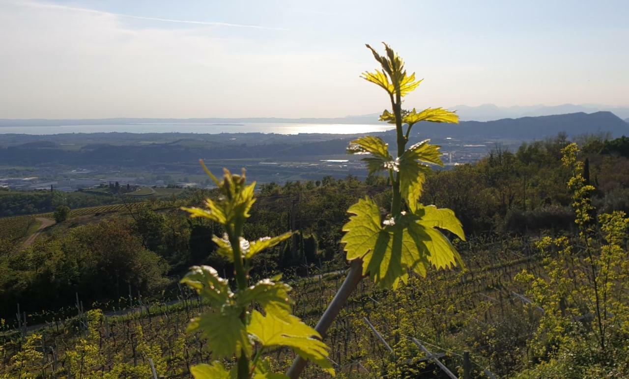 "Cortela" Appartameni In Villetta Singola SantʼAmbrogio di Valpolicella Εξωτερικό φωτογραφία