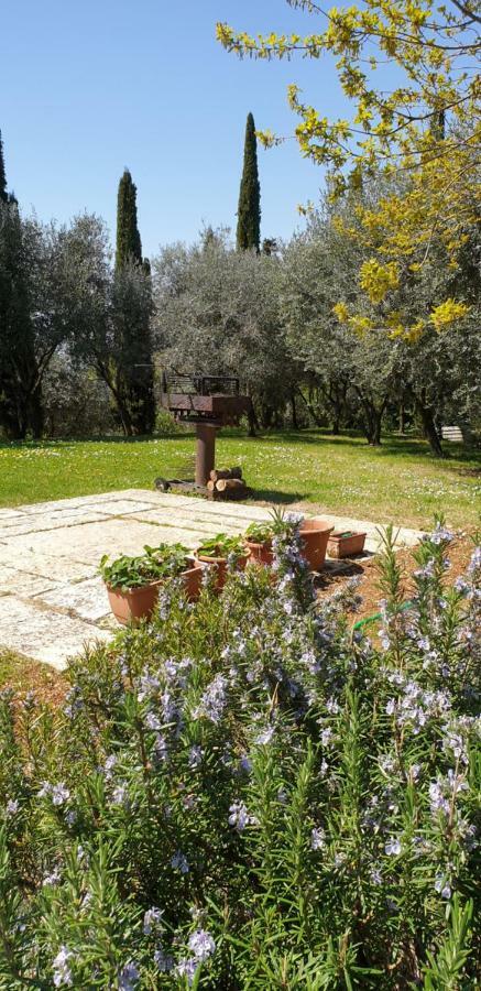 "Cortela" Appartameni In Villetta Singola SantʼAmbrogio di Valpolicella Εξωτερικό φωτογραφία